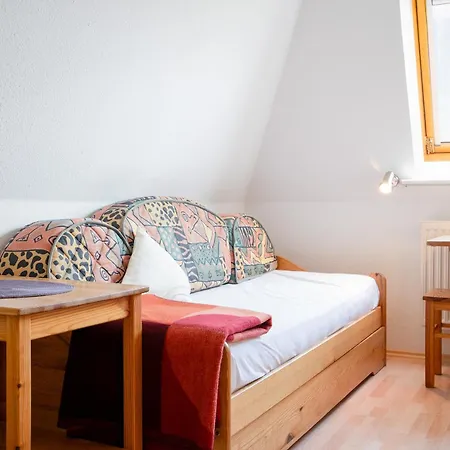 Dkk7b Strandmuschel F