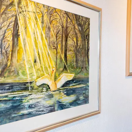 Dkk7b Strandmuschel F *